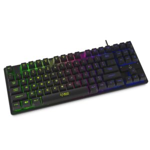 Amkette EvoFox Fireblade Gaming Wired Keyboard with LED Backlit, 19 Anti-Ghosting Keys and Windows Lock Key (TKL) (Black)